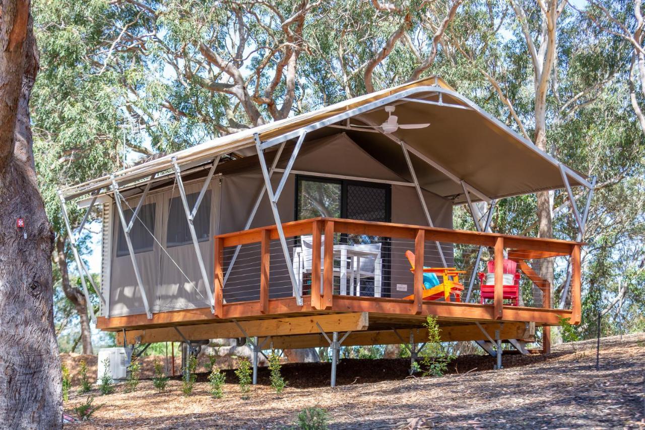 Port Stephens Koala Sanctuary Hotel One Mile ภายนอก รูปภาพ