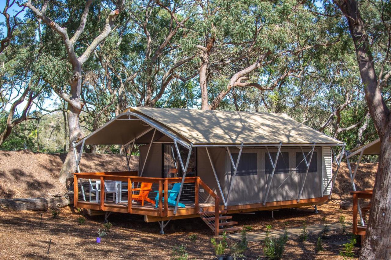 Port Stephens Koala Sanctuary Hotel One Mile ภายนอก รูปภาพ