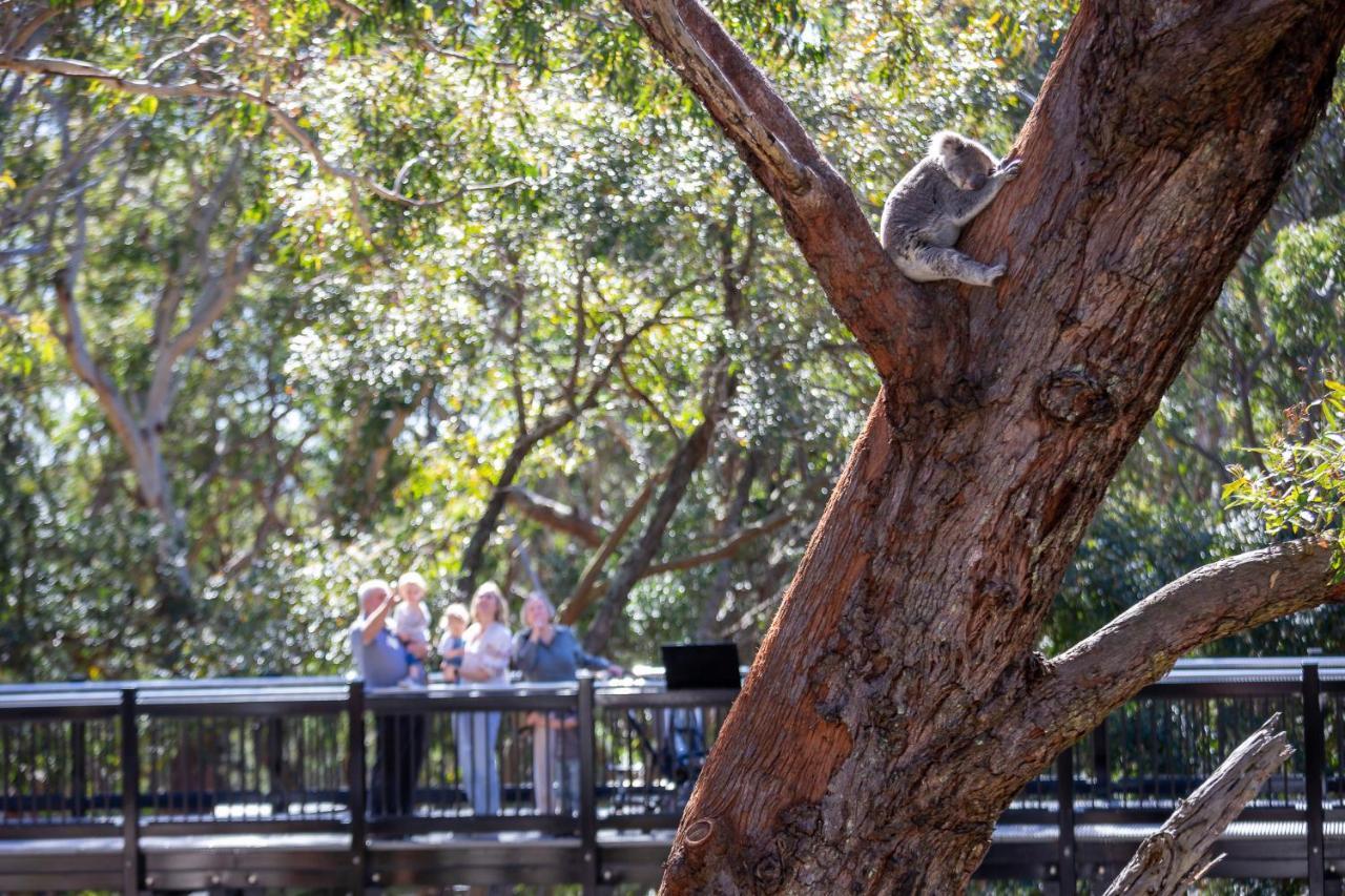 Port Stephens Koala Sanctuary Hotel One Mile ภายนอก รูปภาพ