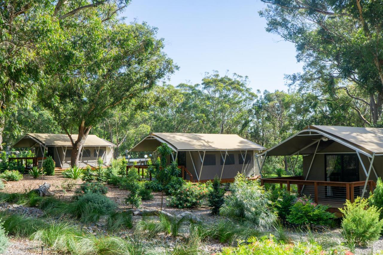 Port Stephens Koala Sanctuary Hotel One Mile ภายนอก รูปภาพ