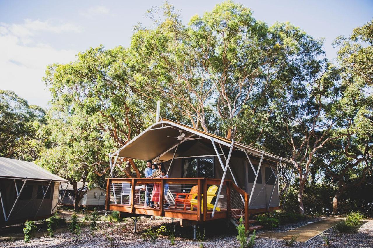 Port Stephens Koala Sanctuary Hotel One Mile ภายนอก รูปภาพ